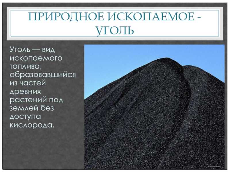 Интересные факты о каменном угле, характеристика, виды, добыча, применение