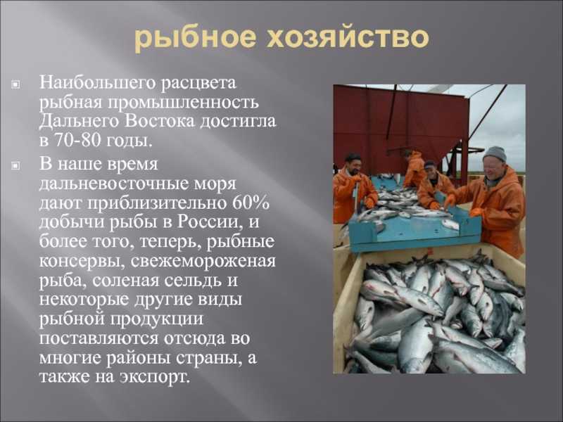 Какой промысел был распространен в районе астрахани. Рыбная промышленность дальнего Востока. Рыбопромышленный комплекс дальнего Востока. Рыболовство на Дальнем востоке. Промысел рыбы Дальний Восток.