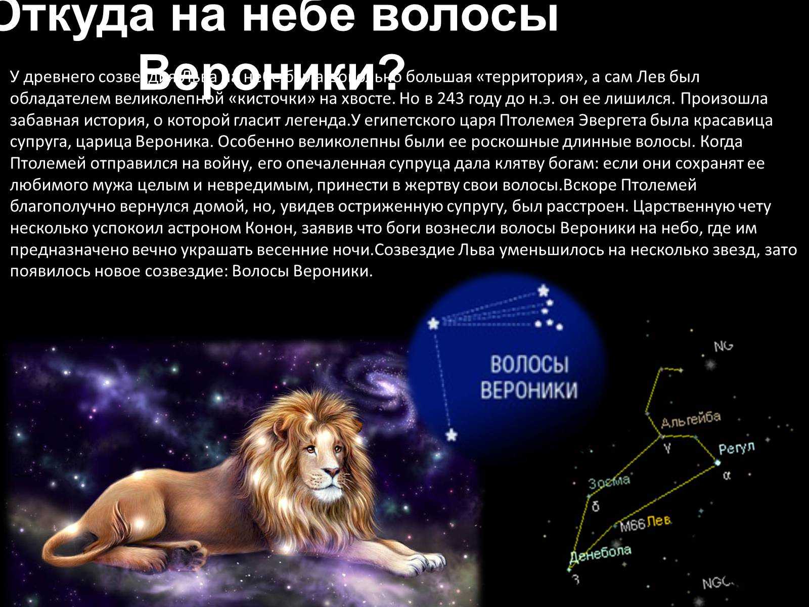 Мифы и легенды о созвездии Льва