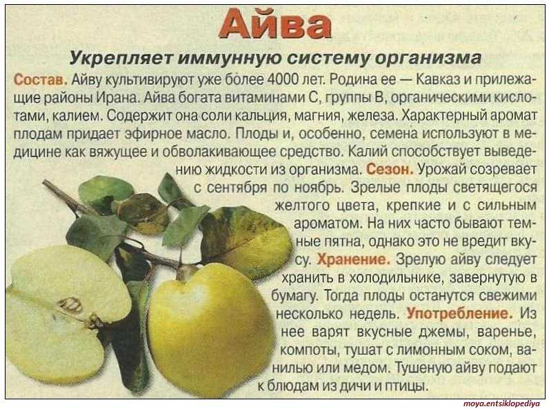 Короткие и любопытные факты обо всем на свете - zefirka