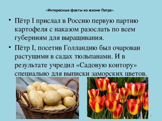 Биография петра i великого - судьба и полная история жизни
