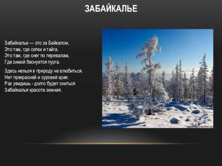Численность населения читы на 2021 год