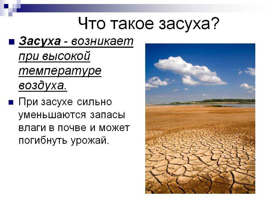 Засуха пришла. Что такое засуха кратко. Засуха презентация. Засуха это определение кратко. Описание засухи кратко.