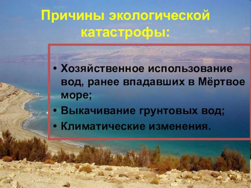 Мертвое море: интересные факты для детей | интересный сайт