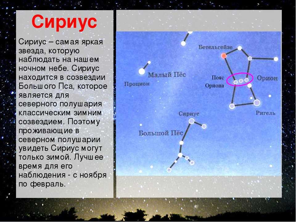 Звезда сириус - самая яркая звезда на небе