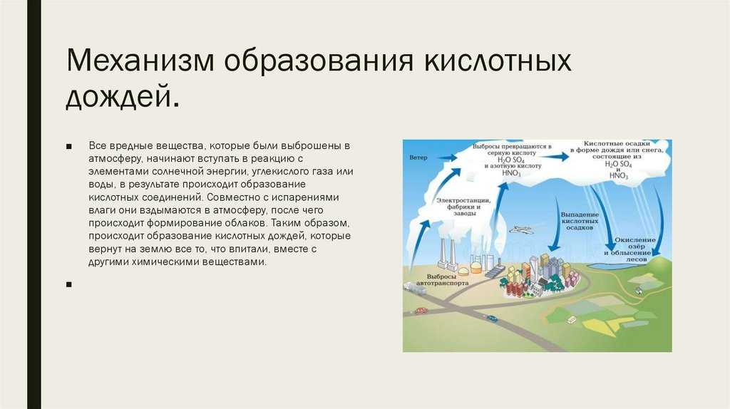 Кислотные дожди – причины возникновения и последствия