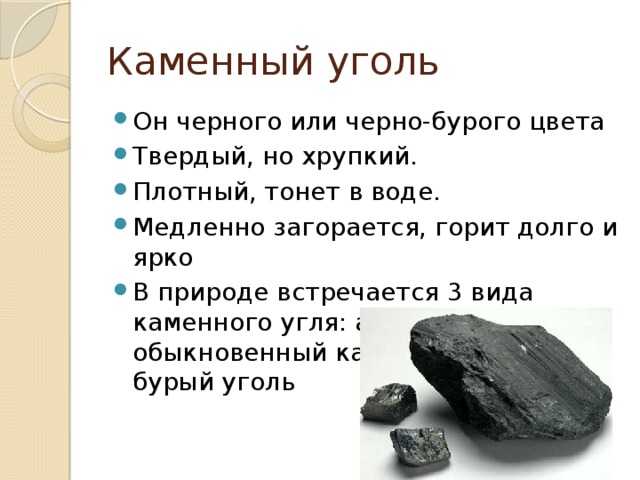 Каменный уголь - состав, характеристика и происхождение