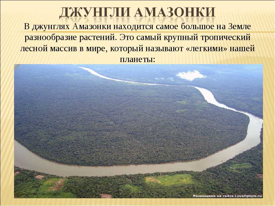 План описания реки амазонки география 7 класс. Река Амазонка география 7 класс. Проект река Амазонка. Амазонка самая полноводная река в мире. Река Амазонка презентация.