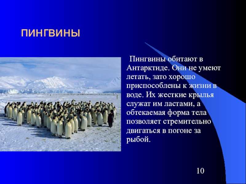Северный - ледовитый океан
