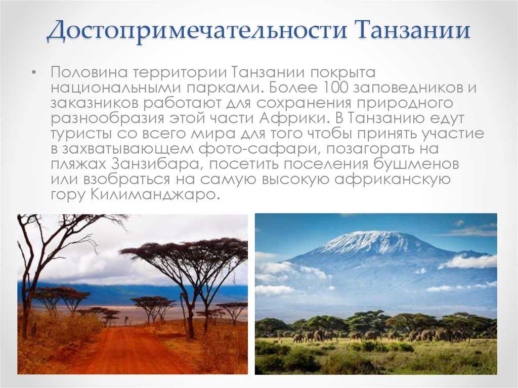 Интересные факты о Танзании – это замечательная возможность узнать больше о Восточной Африке Большая часть территории страны покрыта плоскогорьями В