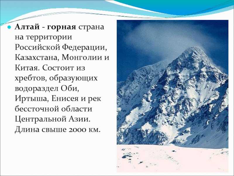 План золотые горы алтая