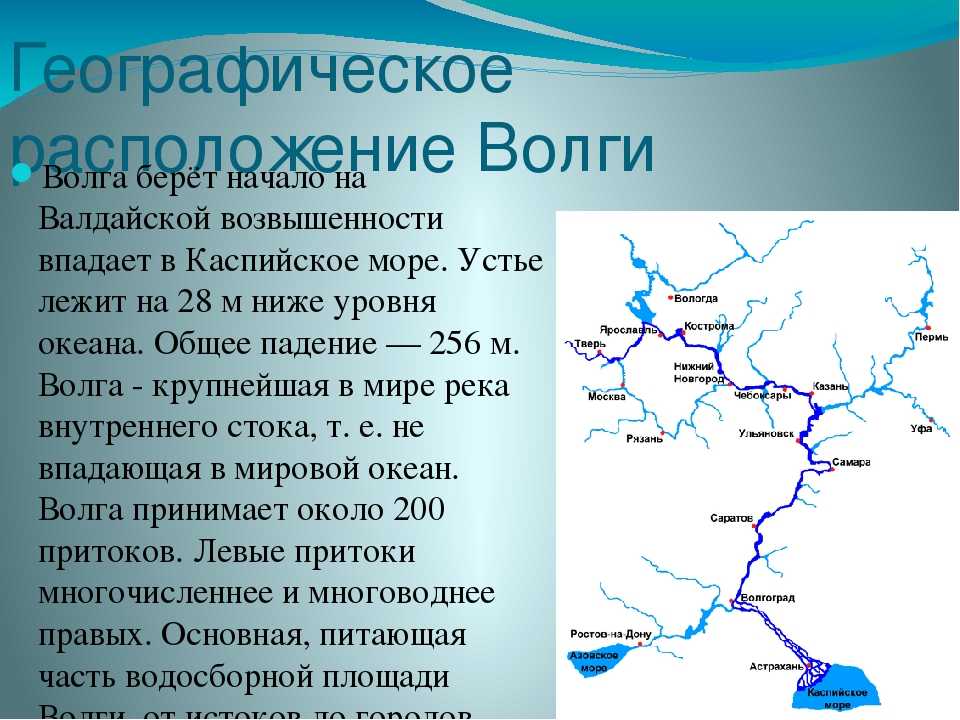 Река оби, где она, характеристики, фауна и флора / география | thpanorama - сделайте себя лучше уже сегодня!