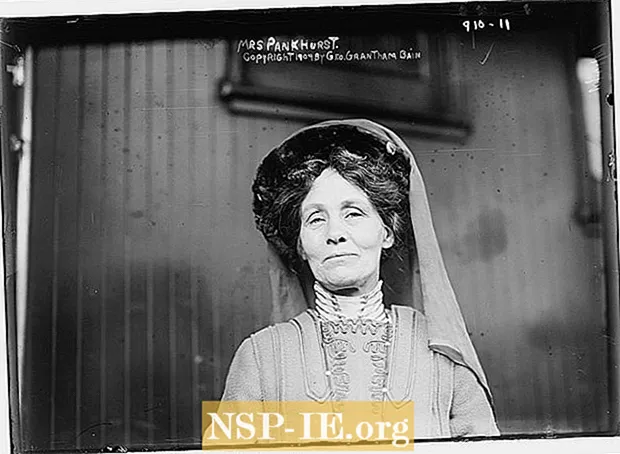 Эммелин Панкхерст 1858-1928 – британская общественная и политическая деятельница, защитница прав женщин, лидер британского движения суфражисток, сыграла