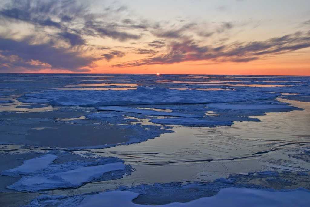 Интересные факты о Северном Ледовитом океане – это замечательная возможность узнать больше о крупнейших водоемах планеты В холодных водах океана обитает