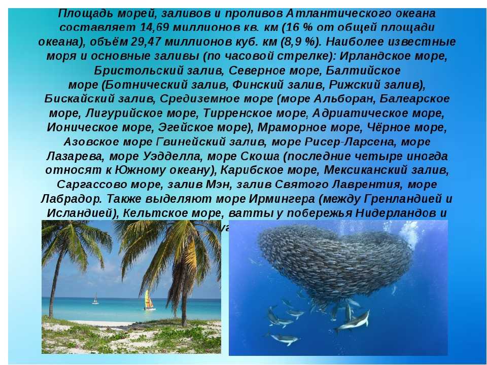 Океаны и моря россии
