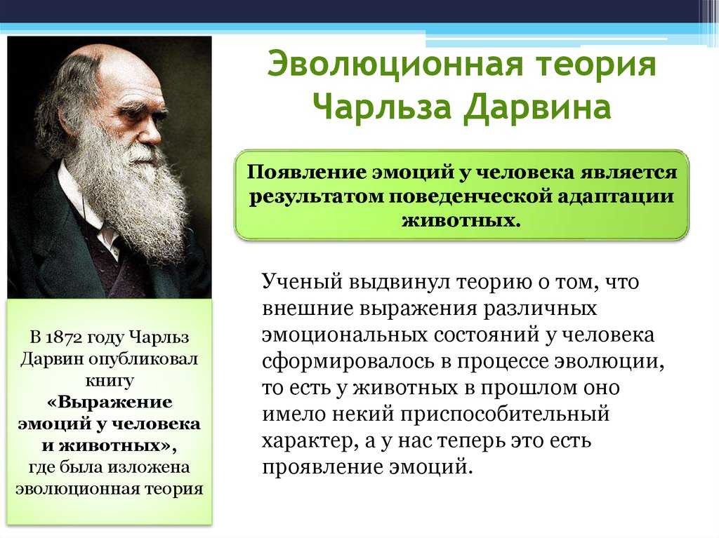 Чарльз дарвин: биография, открытия и достижения в науке