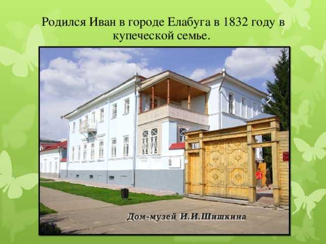 Белый гриб: как выглядит, где растет, фото и разновидности