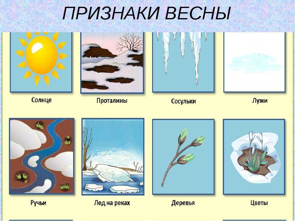 Самые известные кометы: топ-10