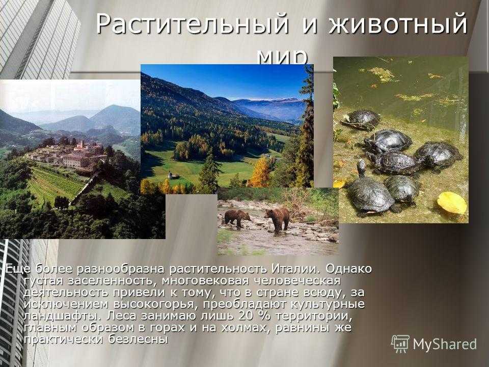 Природа италии презентация