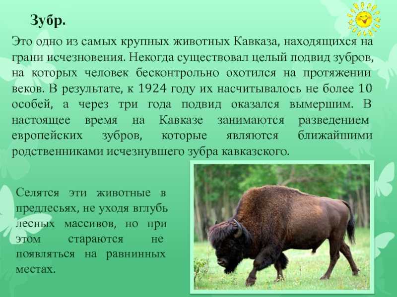 Круговорот воды в природе: информация для детей и взрослых