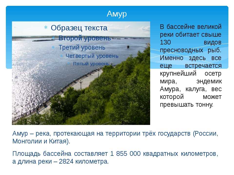 Опишите по плану реку амур