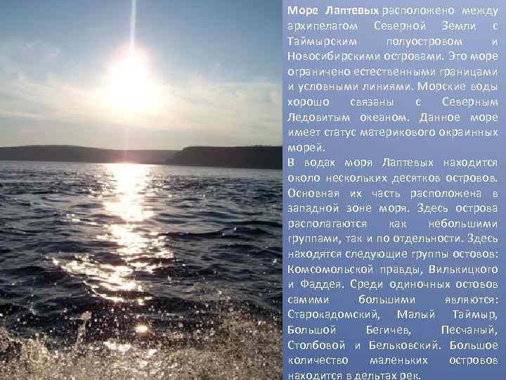 Экологические проблемы северного ледовитого океана | животный мир