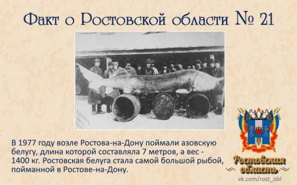 Какой самый южный город россии? :: syl.ru