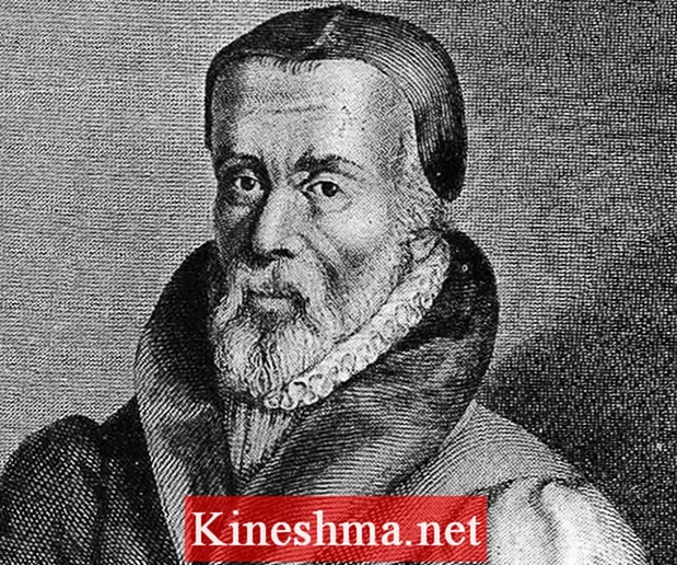 Уильям тиндейл