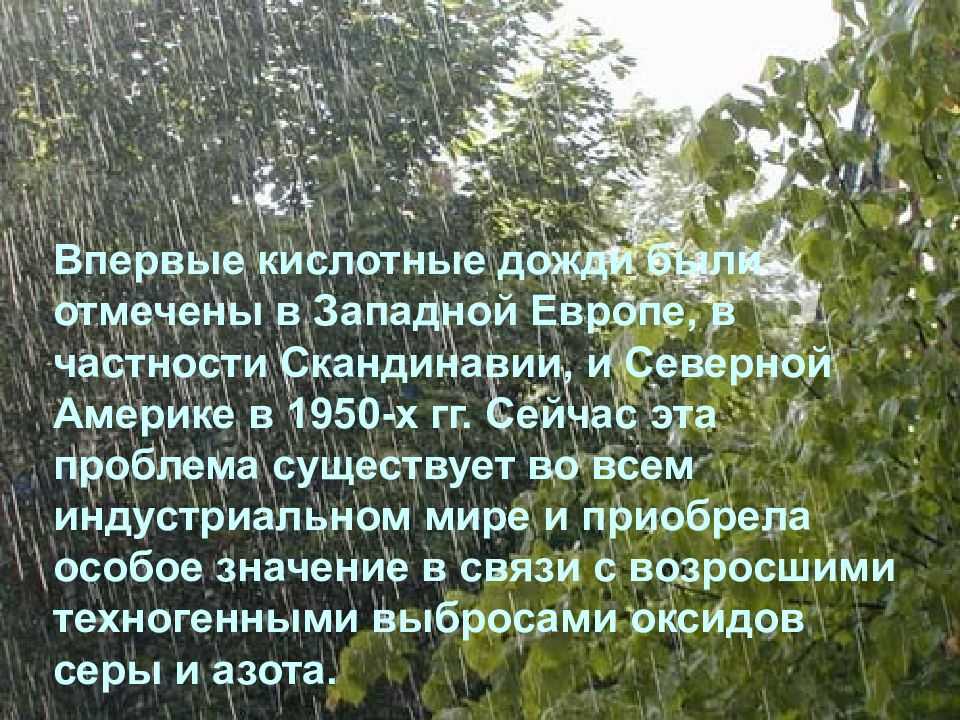 Кислотные дожди - причины и последствия выпадения | кислотные дожди в атмосфере