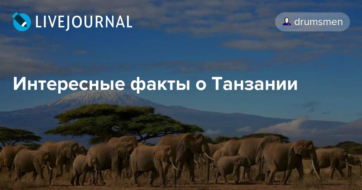 Танзания — информация о стране - новый географический сайт | города и страны | интересные места в мире