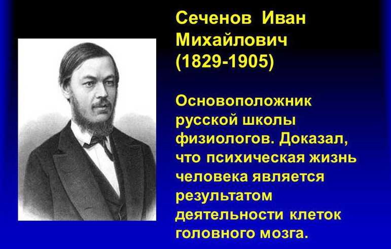 Сеченов презентация биография