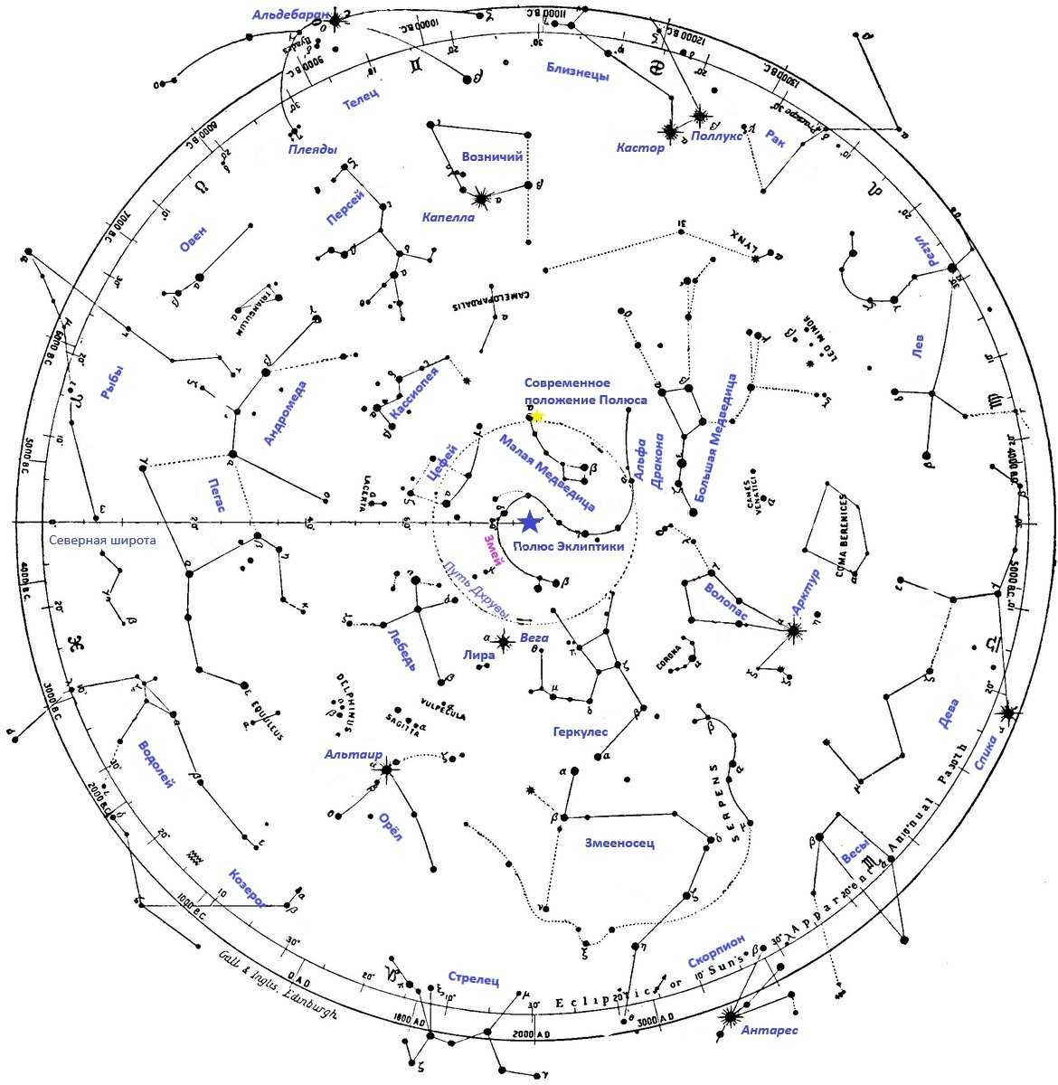 Карта созвездий с названиями на русском звездного неба