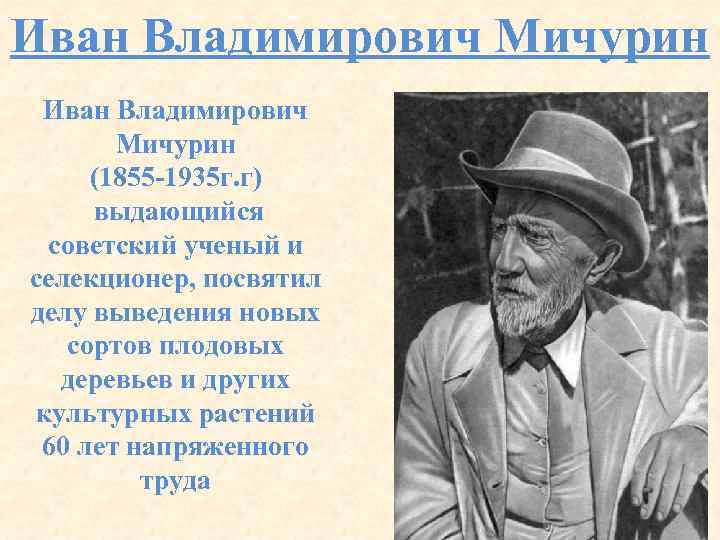 Презентация про мичурина