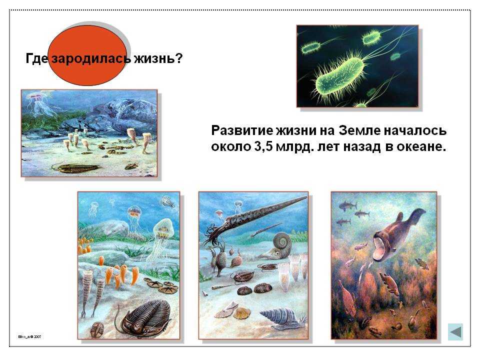 Раскройте тему возникновение и развитие нашей планеты с помощью рисунка небольшого сочинения кратко