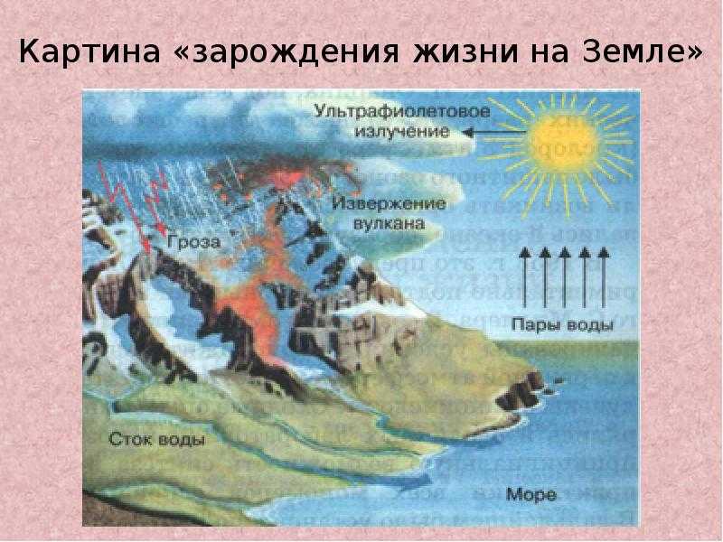 Презентация зарождение жизни на земле