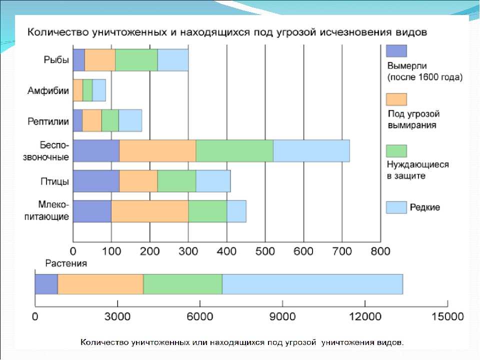 Диаграмма вымирание животных