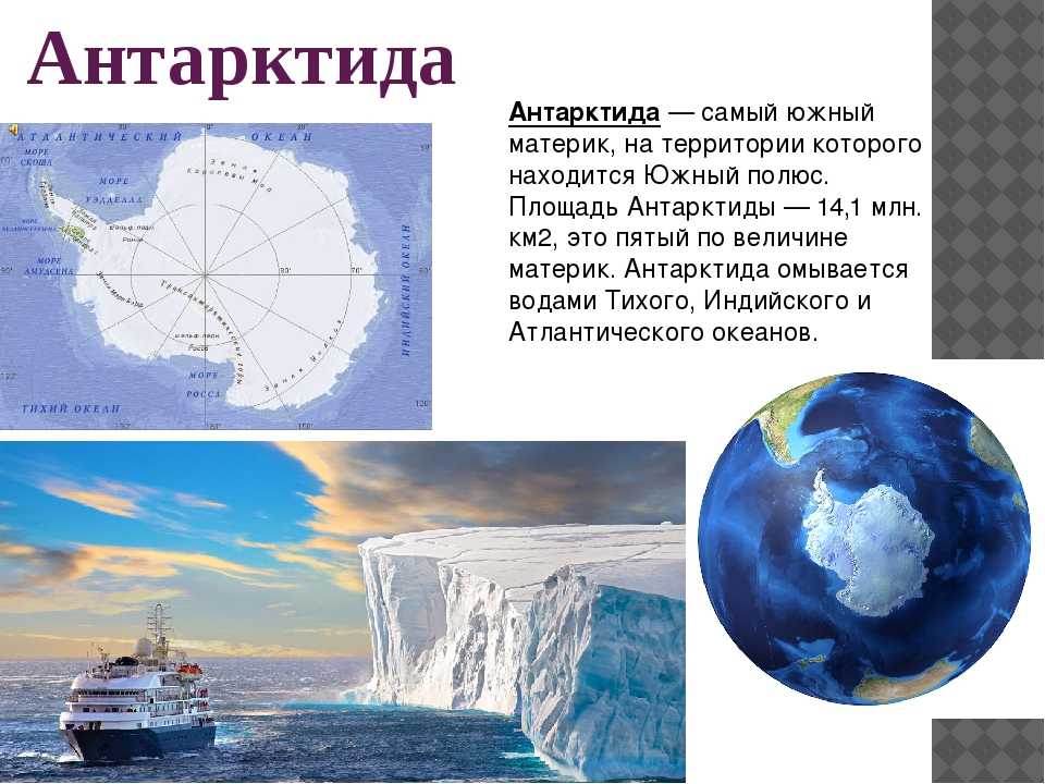 Чем отличается арктика от антарктики и антарктиды и что у них общего? :: инфониак