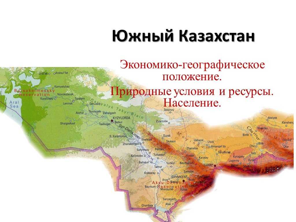 Доклад-сообщение фламинго 3 класс окружающий мир