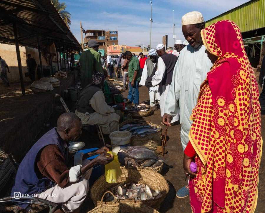 Интересные факты о Судане – это отличная возможность узнать больше о Восточной Африке На территории государства вспыхивало немало восстаний, в ходе