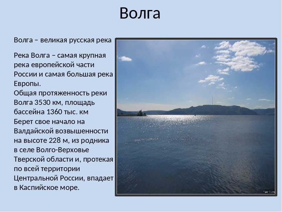 Волга имеет только дождевое питание верно или нет