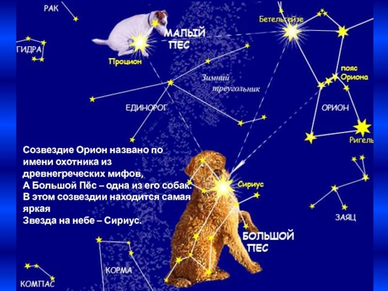 Названия звезд и созвездий на небе по алфавиту, самая яркая звезда, названия голубых звезд, созвездия северного полушария солнечной системы, список с картинками | tvercult.ru
