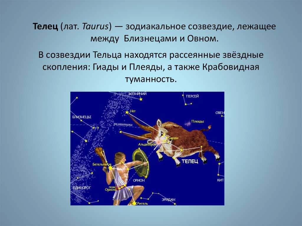 Презентация по теме зодиакальные созвездия