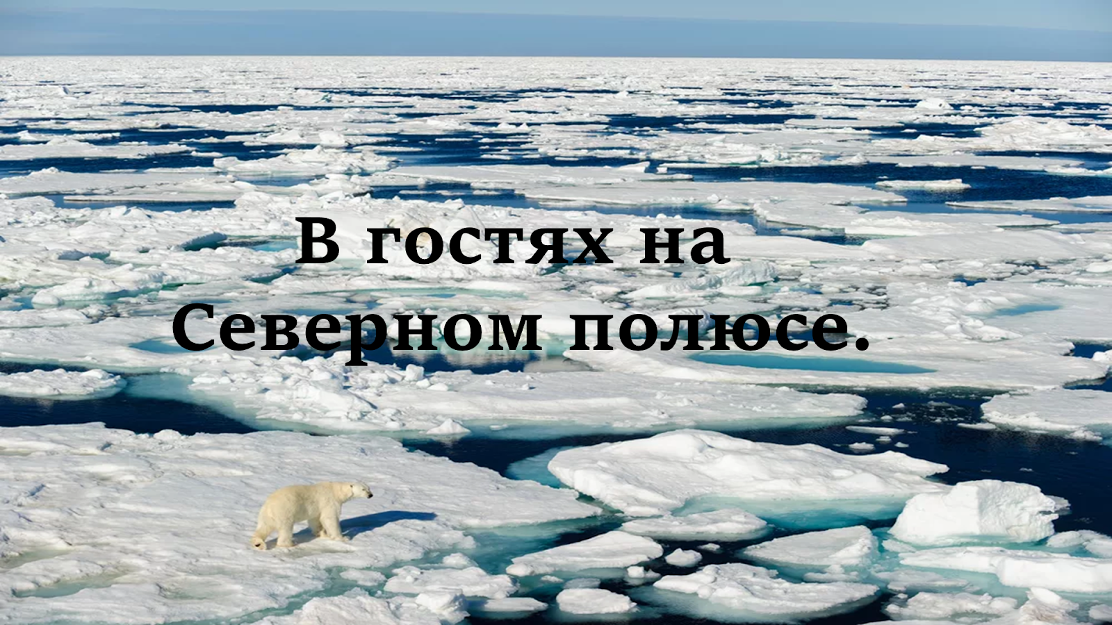 Северный полюс презентация для дошкольников