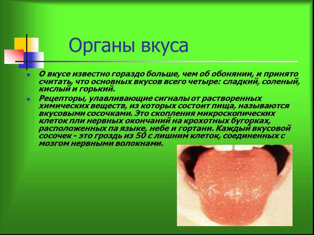 Факты о строении органов чувств. Органы чувств доклад. Интересные факты о органе вкуса.