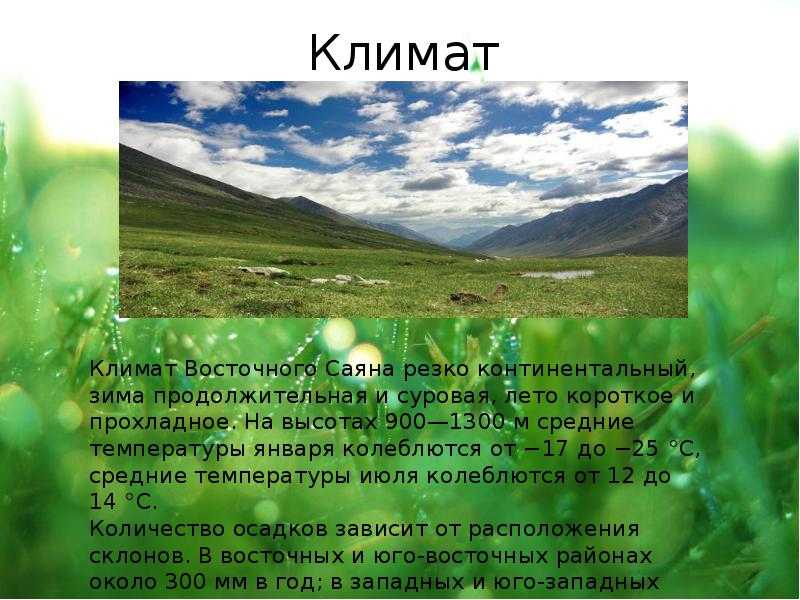 Сообщение о горах саяны 4 класс