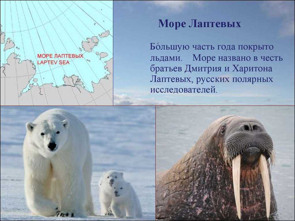 Белое море - географическое положение и общая характеристика