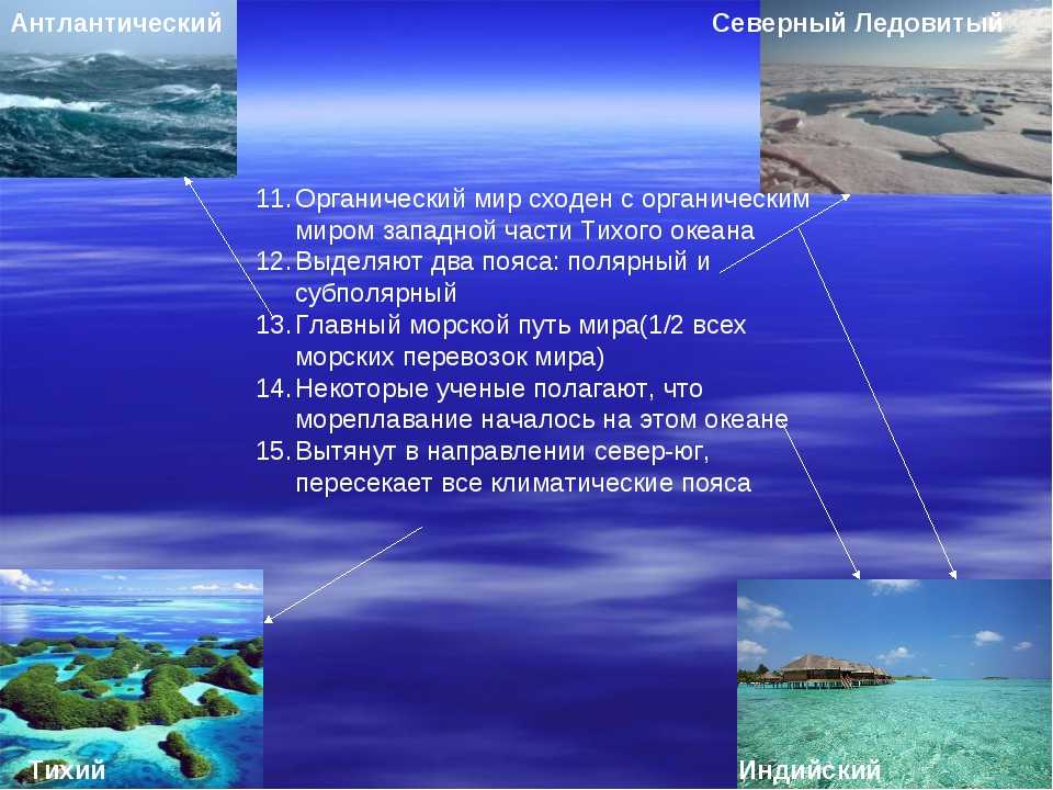 География 6 класс дайте описание атлантического и индийского океана по плану