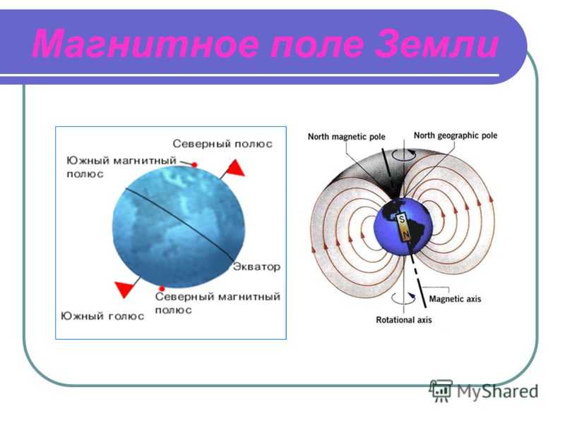 Магнитное поле земли 8 класс физика. Магнитные полюса земли схема. Основные части магнитного поля земли. Магнитное поле земли физика 9 класс. Какова роль магнитного поля земли в существовании