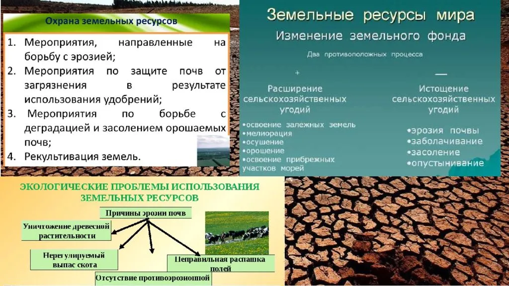 Минеральные ресурсы россии география и проблемы использования проект 9 класс