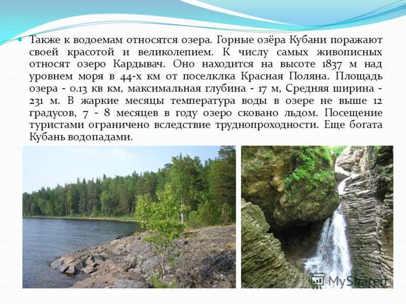 Доклад- сообщение растения краснодарского края 2, 3, 4 класс